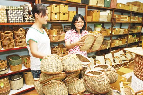Ngành lâm nghiệp buộc phải ‘tăng tốc’ để hoàn thành mục tiêu